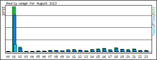 Hourly usage