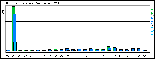 Hourly usage