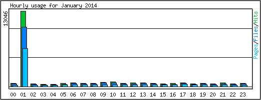 Hourly usage