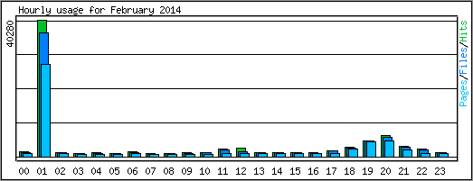Hourly usage