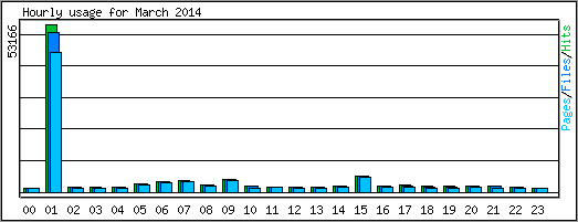 Hourly usage