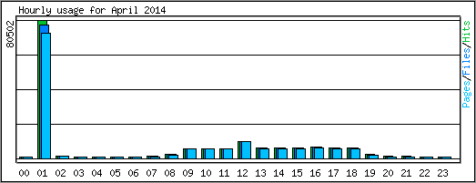 Hourly usage