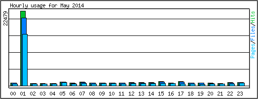 Hourly usage
