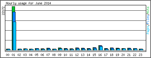 Hourly usage