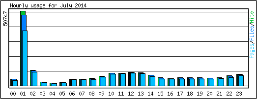 Hourly usage