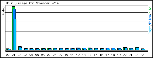 Hourly usage