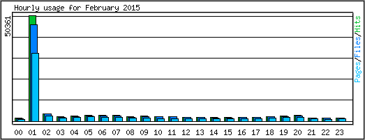 Hourly usage