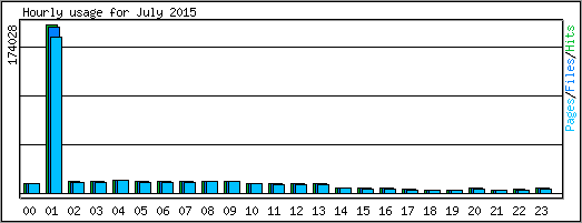 Hourly usage