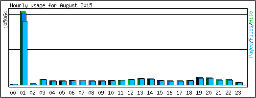 Hourly usage