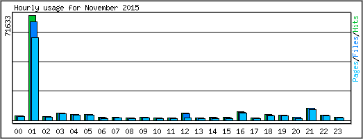 Hourly usage