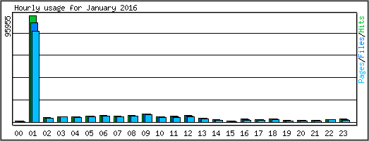 Hourly usage