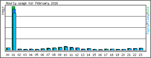 Hourly usage