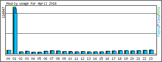 Hourly usage