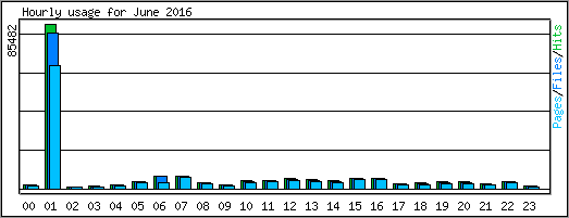 Hourly usage