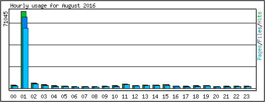 Hourly usage