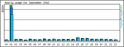 Hourly usage