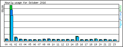 Hourly usage