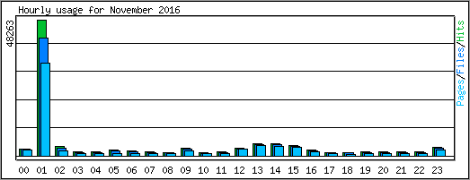 Hourly usage