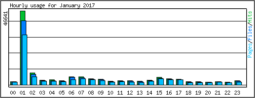 Hourly usage