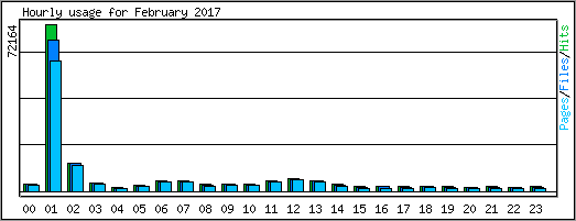 Hourly usage
