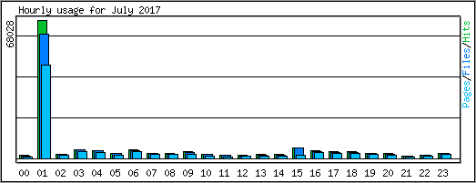 Hourly usage