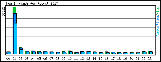Hourly usage