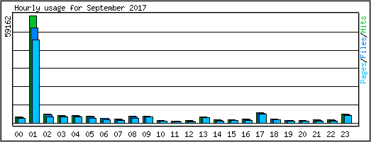 Hourly usage