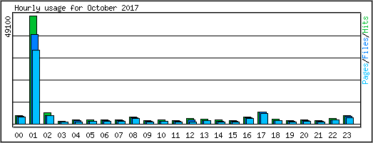 Hourly usage