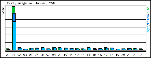 Hourly usage