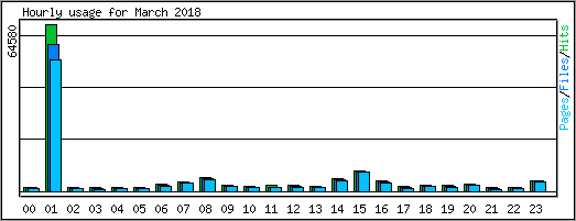 Hourly usage