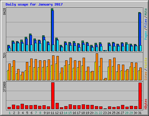 Daily usage for January 2017