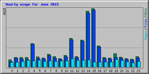 Hourly usage for June 2015