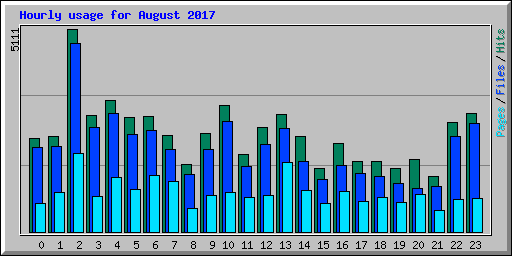 Hourly usage for August 2017