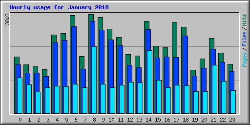 Hourly usage for January 2018